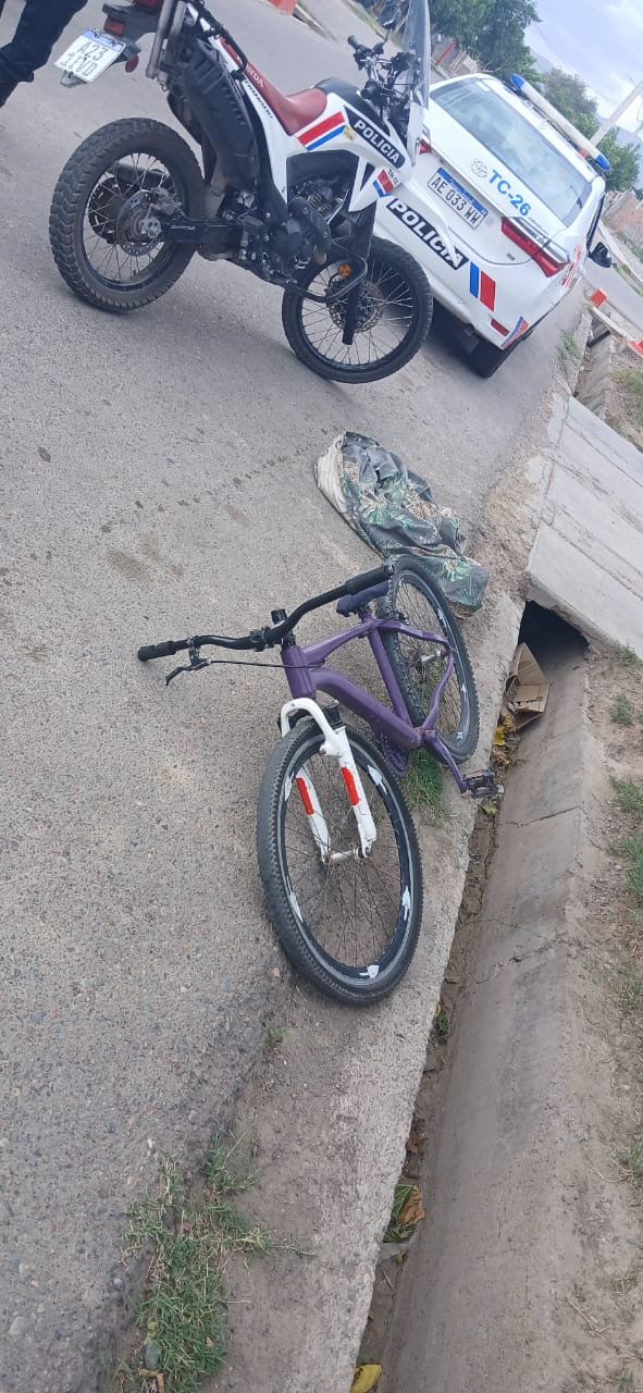 Recuperan bicicleta robada y detienen al sujeto en barrio San Martín