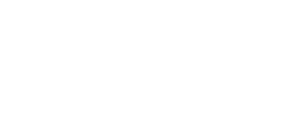 Policía de San Juan